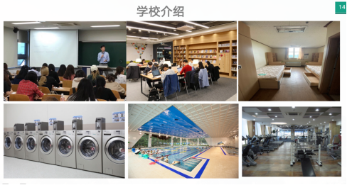 蓝狮在线测速网址