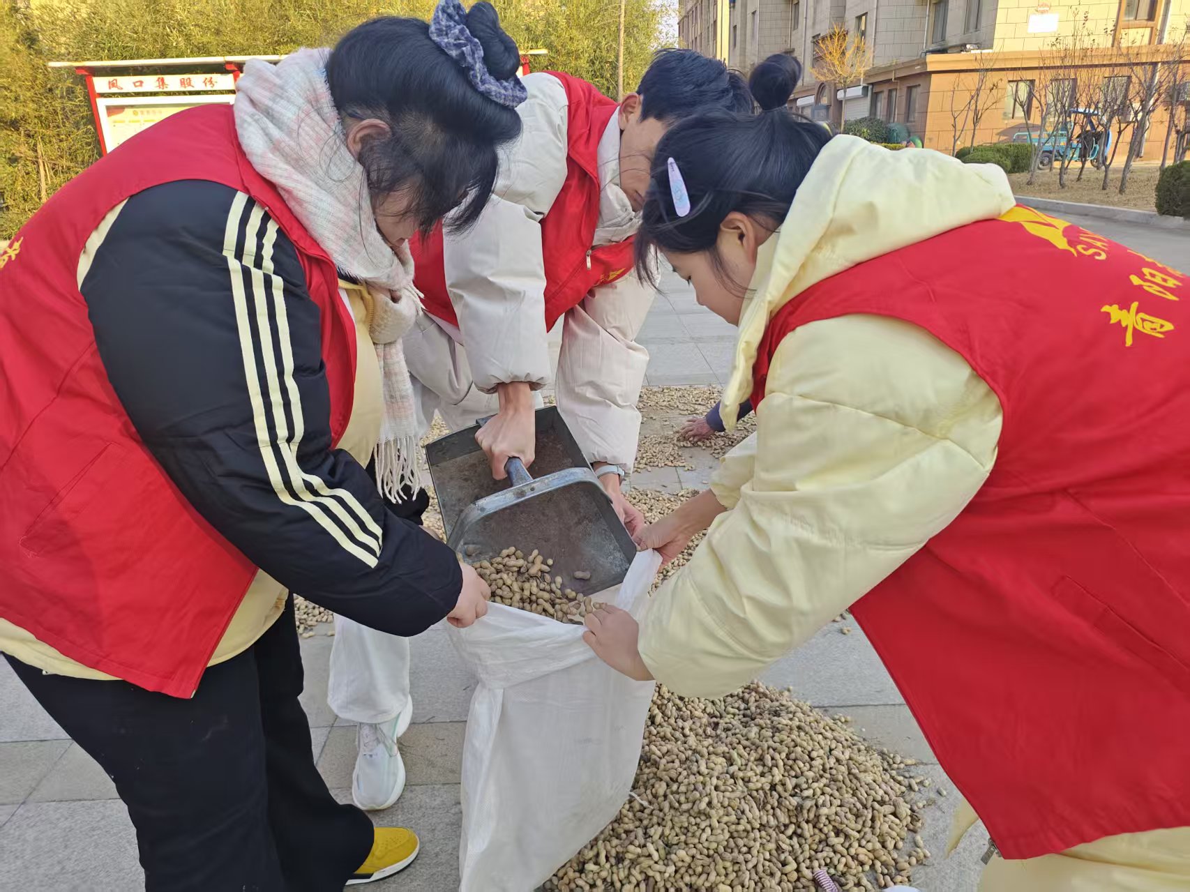 图片三.jpg 蓝狮在线测速网址