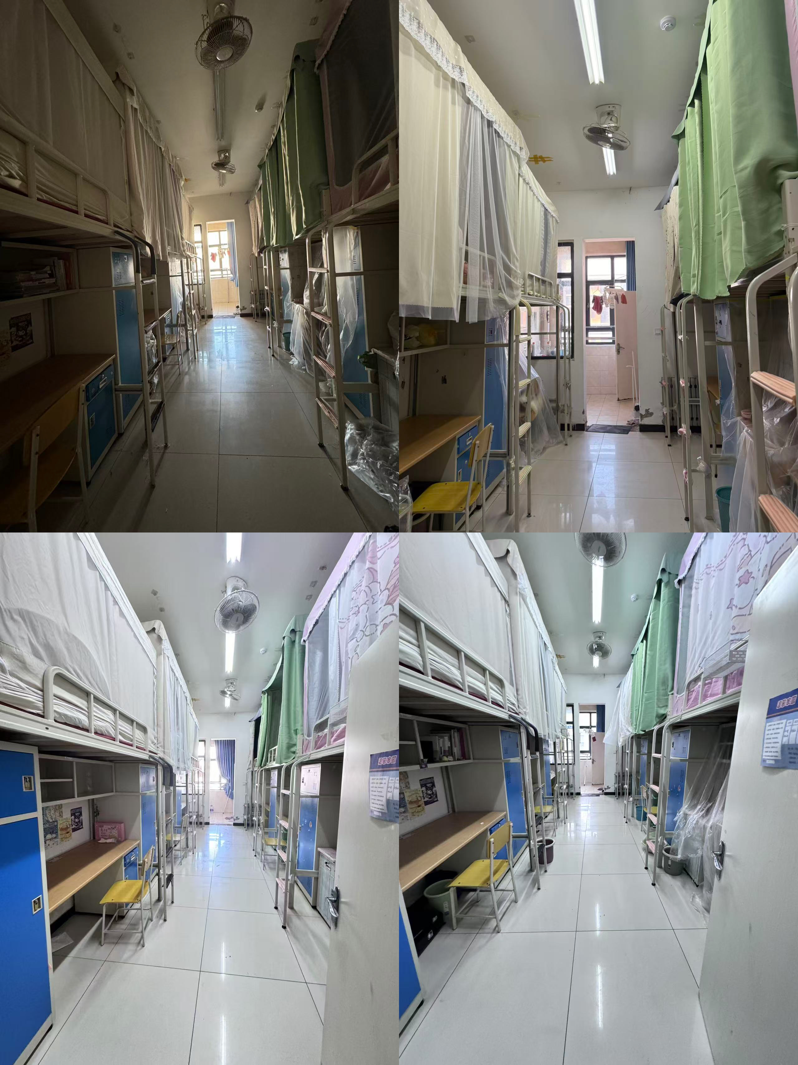 24早5张佳文6517.JPG 蓝狮在线测速网址