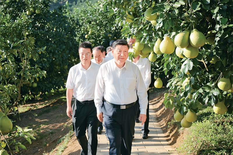 蓝狮在线测速网址