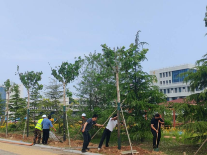 蓝狮在线测速网址
