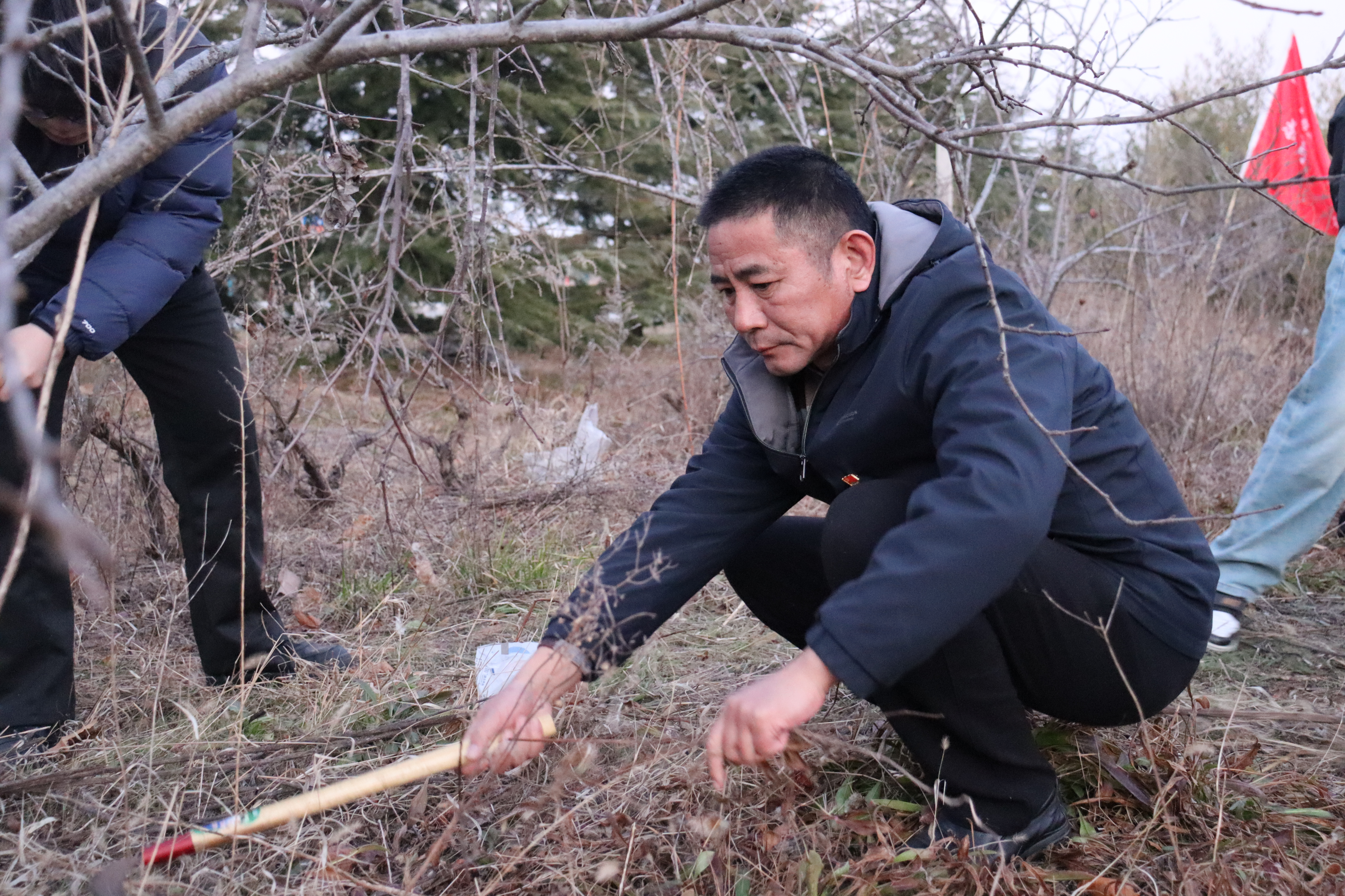 蓝狮在线测速网址