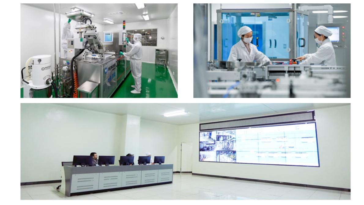 蓝狮在线测速网址